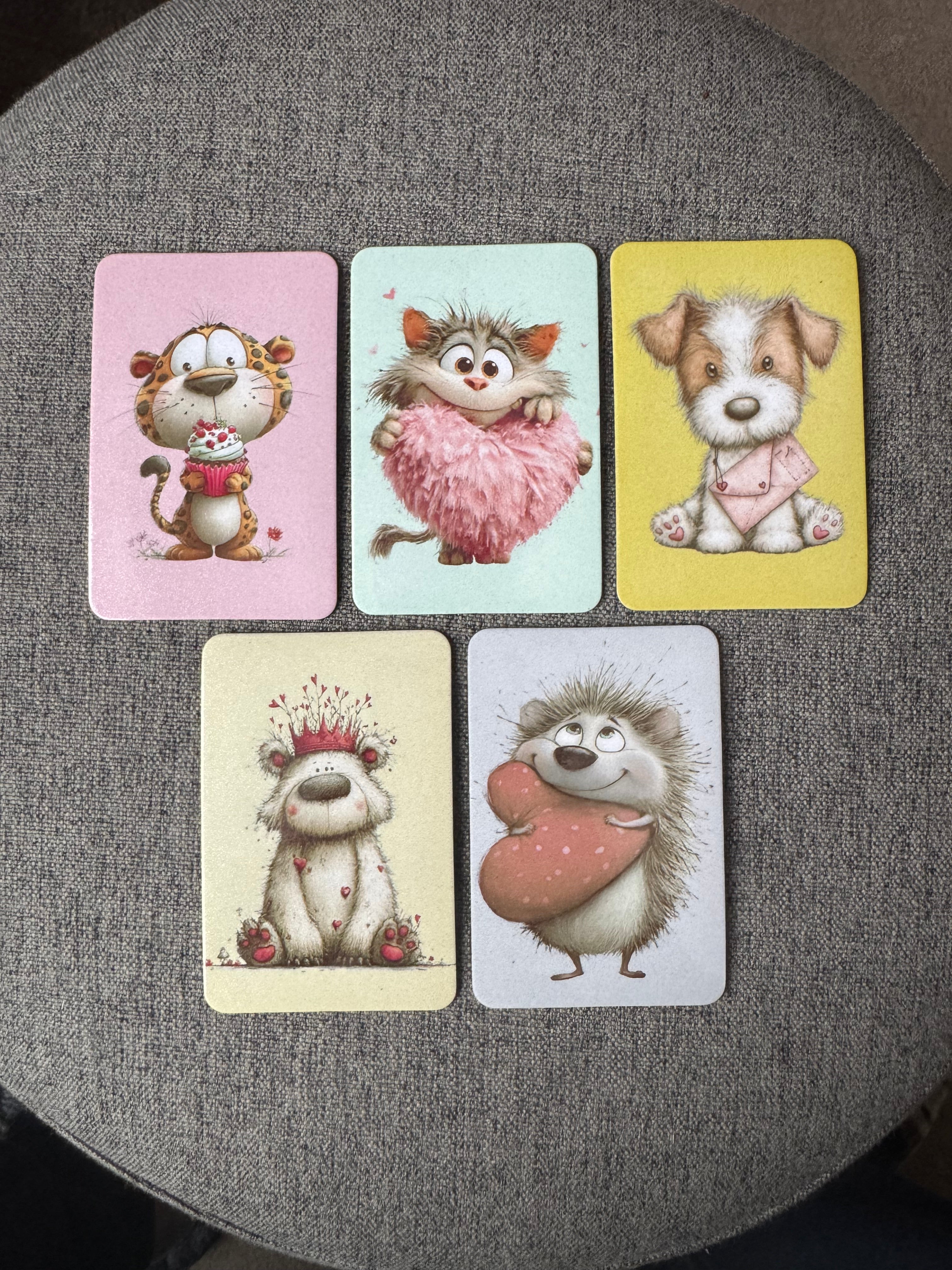5 Cute fridge magnets - Cat, Dog, Hedgehog, Bear and cheetah fridge magnets bundle